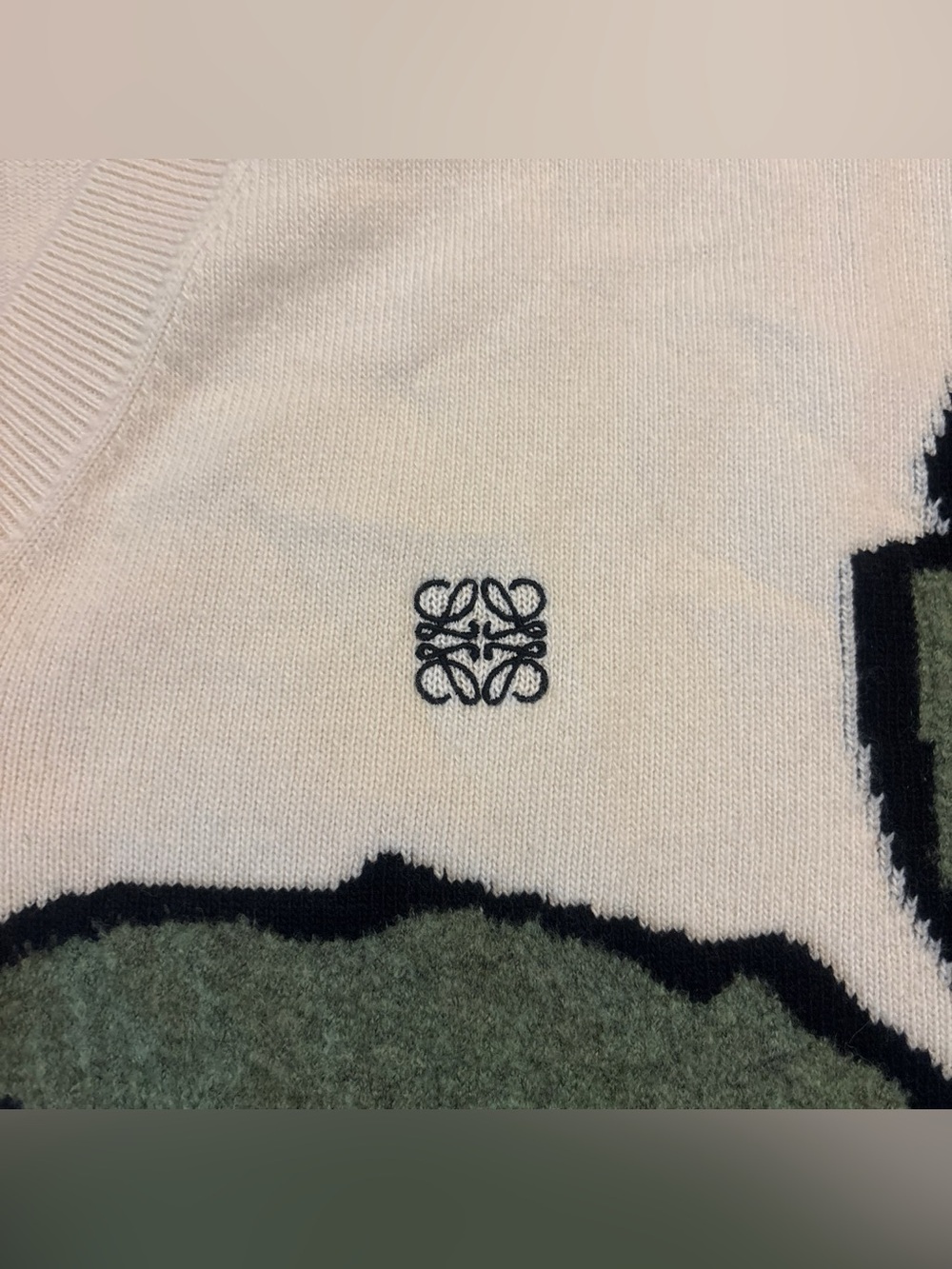 Loewe Herbarium Asymmetric Fringed Intarsia Wool-Blend Sweater - Picture 3 of 5